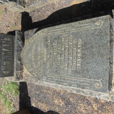 NEWMAN Nahum David -1919