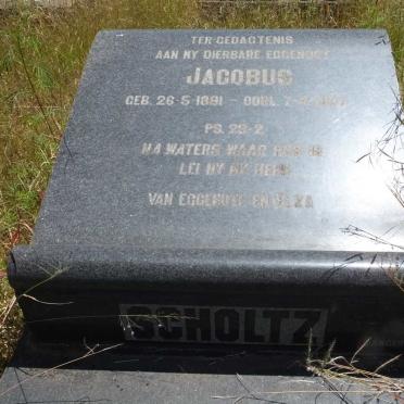 SCHOLTZ Jacobus 1891-1957