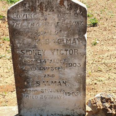 TOLMAY Sidney Victor 1903-1903 :: TOLMAY Salman 1905-1905