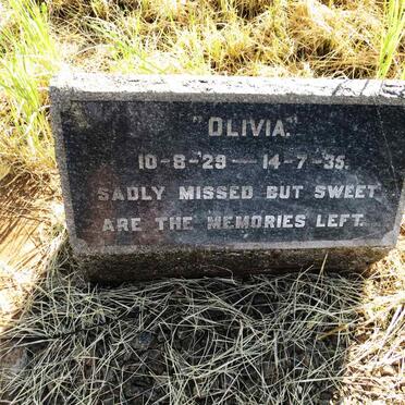 ? Olivia 1929-1935