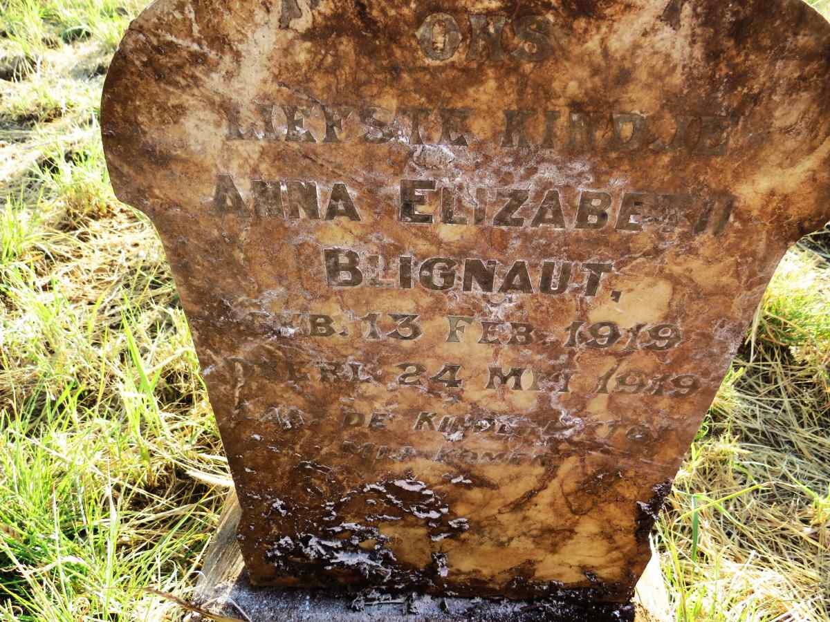 BLIGNAUT Anna Elizabeth 1919-1919