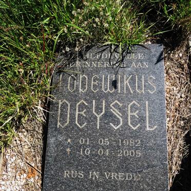 DEYSEL Lodewikus 1982-2005