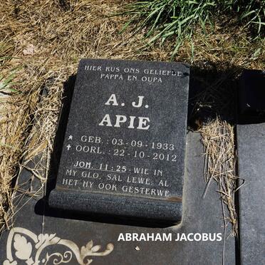 JAARSVELD Abraham Jacobus, van 1933-2012 & Cornelia Carolina OOSTHUIZEN 1936-2012 _3