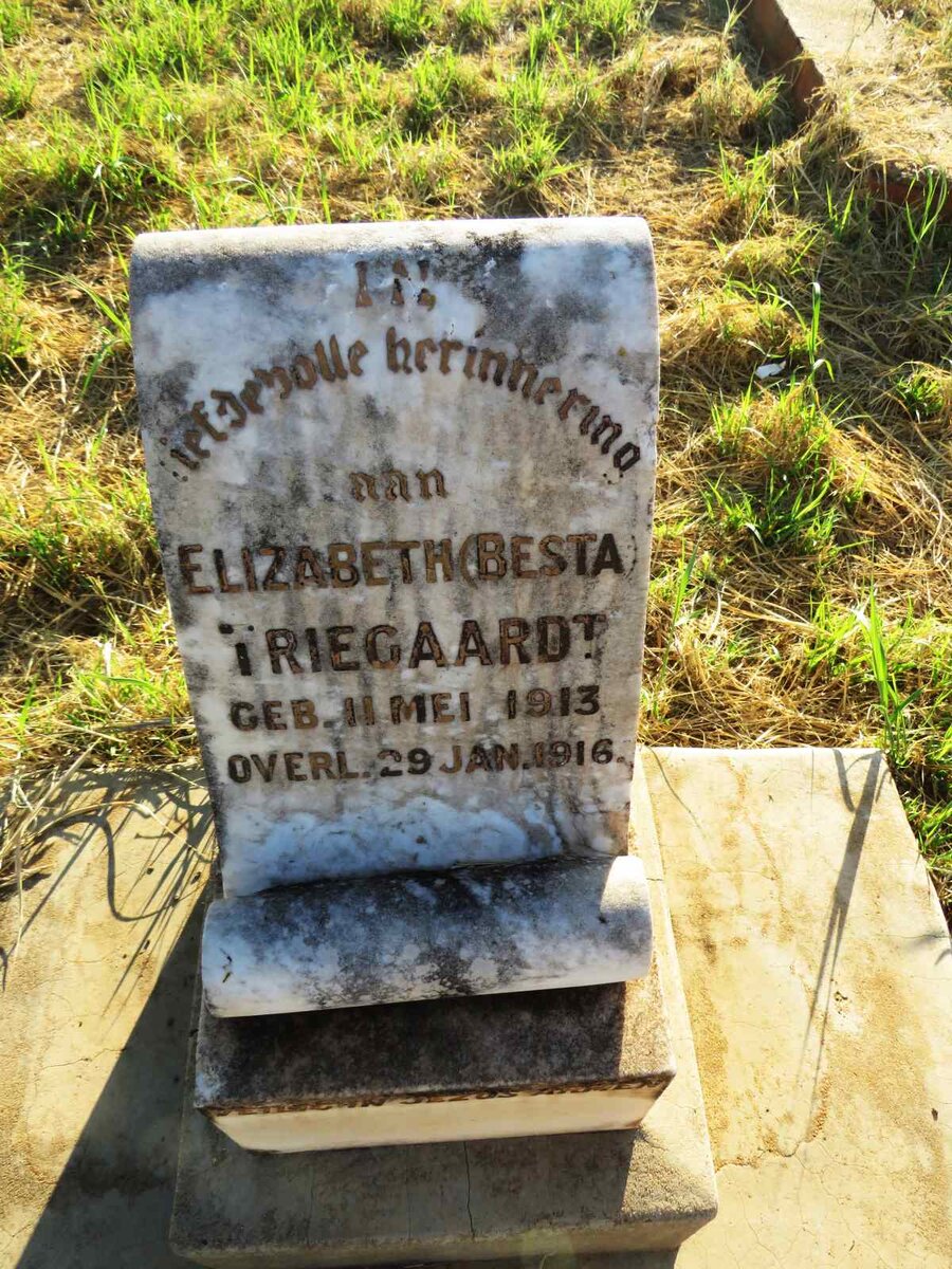 TRIEGAARDT Elizabeth 1913-1916