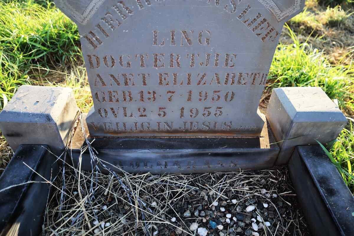 WOLMARANS Anet Elizabeth 1950-1955