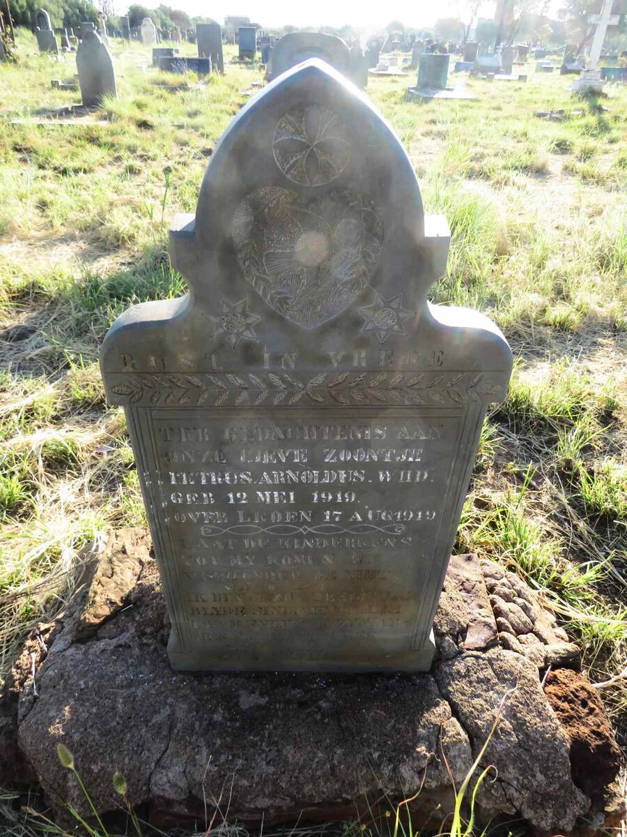 WIID Petrus Arnoldus 1919-1919