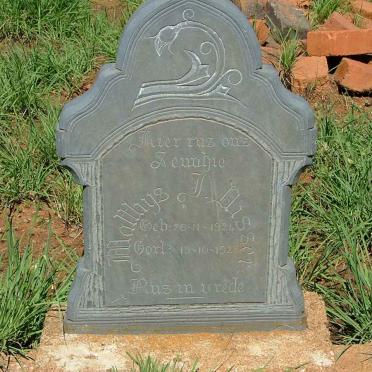 DISSEL Matthys J. 1924-1925