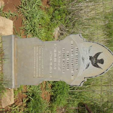 VOLSTEED Floris Hendrik 1865-1936