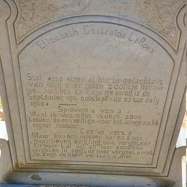 ROUX Hermanis Jacobus, Le 1916-1920