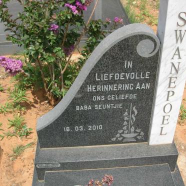 SWANEPOEL -2010