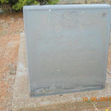 North West, WOLMARANSSTAD district, Syfergat 204_04, farm cemetery