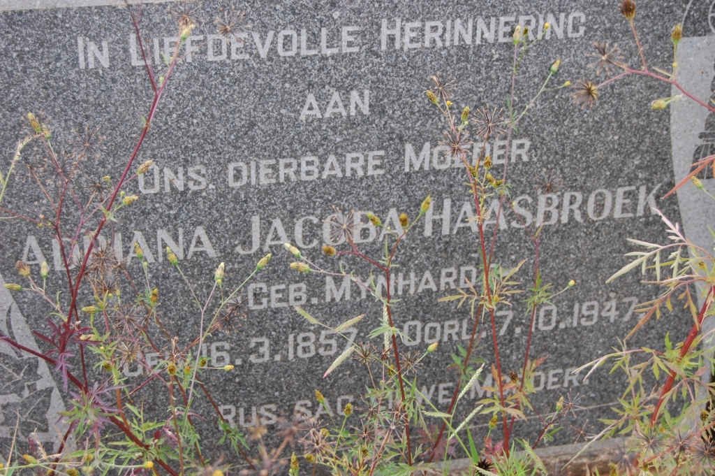 HAASBROEK Adriana Jacoba nee MYNHARD 1857-1947