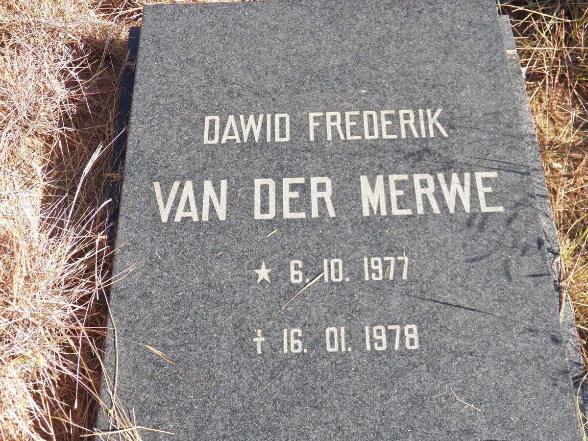 MERWE Dawid Frederik, van der 1977-1978