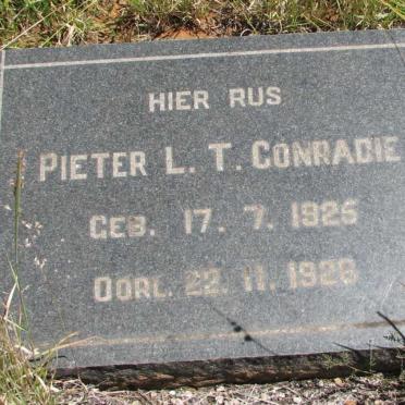 C - Surnames :: Vanne - C