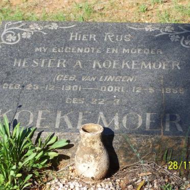 KOEKEMOER Hester A. nee VAN LINGEN 1901-1955.