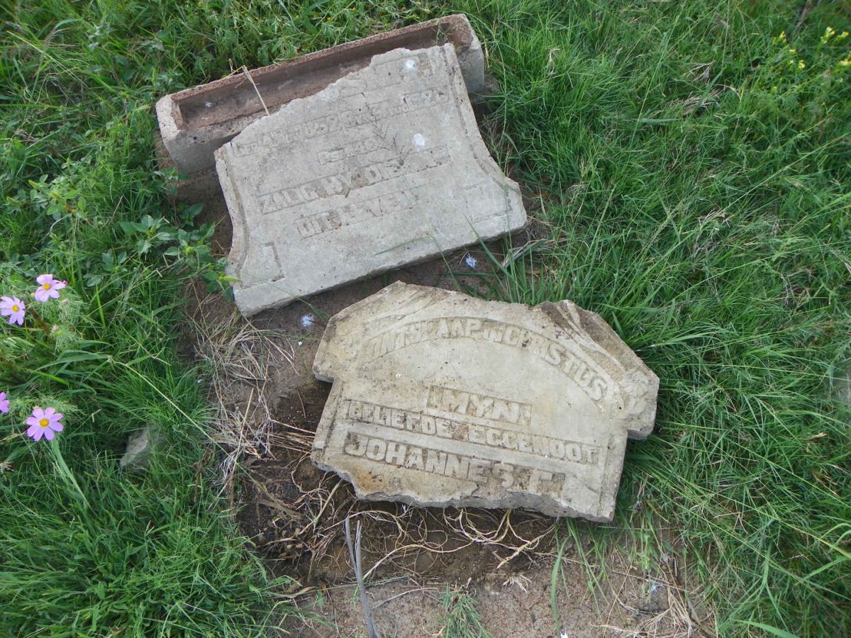 SMIT Johannes F. 1852-1926