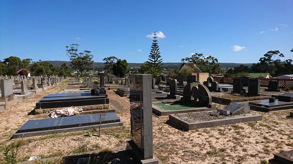 7. Oorsig / Overview