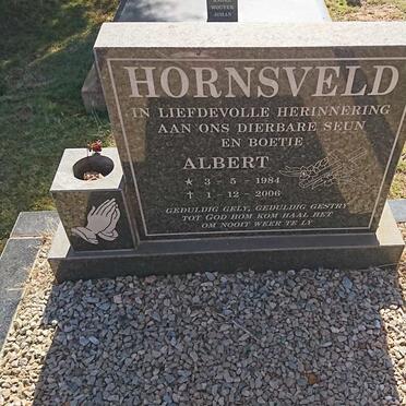 HORNSVELD Albert 1984-2006