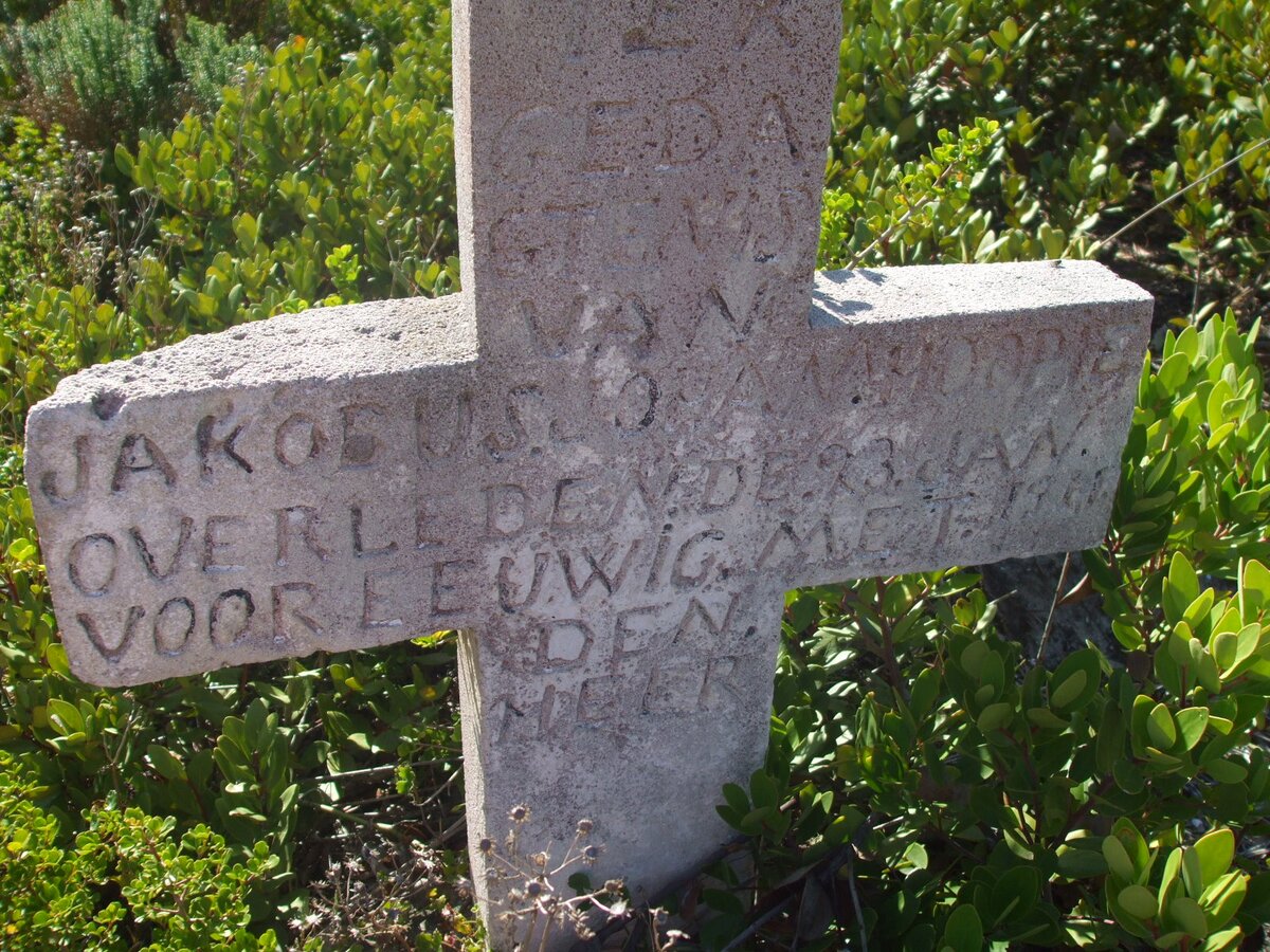 HOOPIE Jakobus Johan -1911