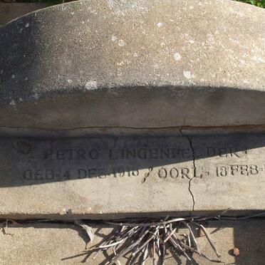 DERT Petro Lingeniel 1913-1920