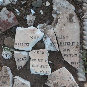 MITCHELL Rosie Sophia -1901 