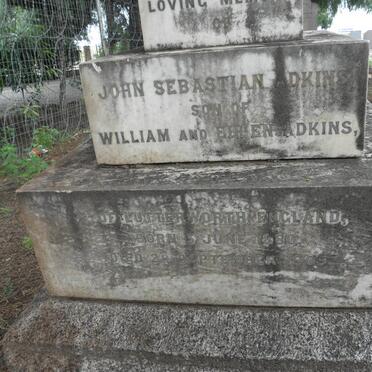 ADKINS John Sebastian 1880-1905