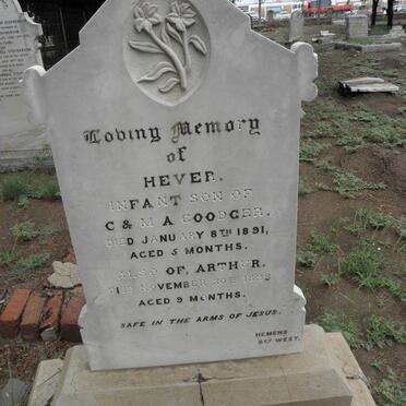 GOODGER Hever -1891 :: GOODGER Arthur -1893