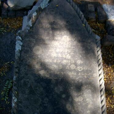 KROMAM  :: KROMAM Henry -1885