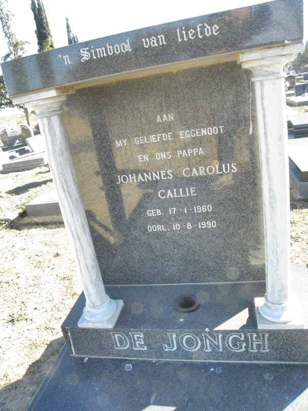JONGH Johannes Carolus, De 1960-1990