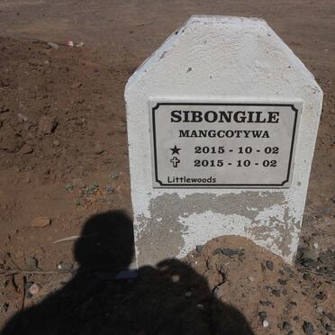 MANGCOTYWA Sibongile 2015-2015