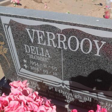 VERROOY Delia 1954-2013