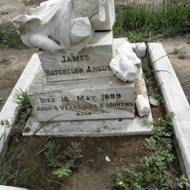 A - Surnames :: Vanne - A