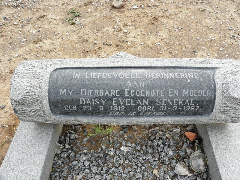 SENEKAL Daisy Evelan 1912-1967