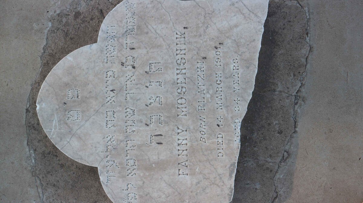 MOSENSNIK Fanny nee PLATZKI -1901