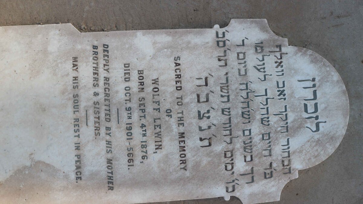 LEWIN Wolff 1876-1901