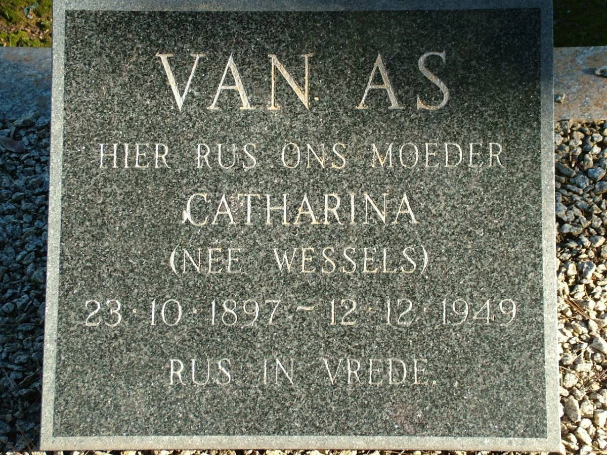 AS Catharina, van nee WESSELS 1897-1949