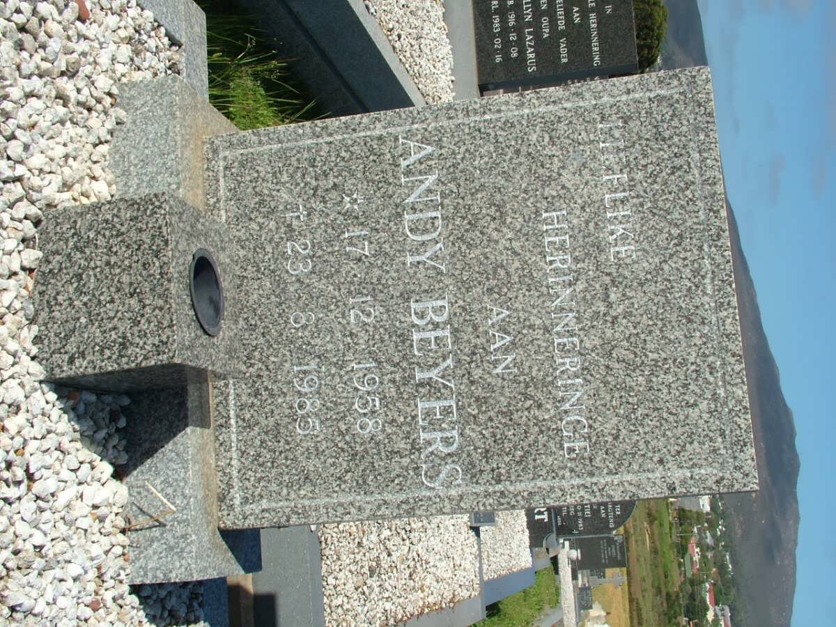 BEYERS Andy 1958-1985