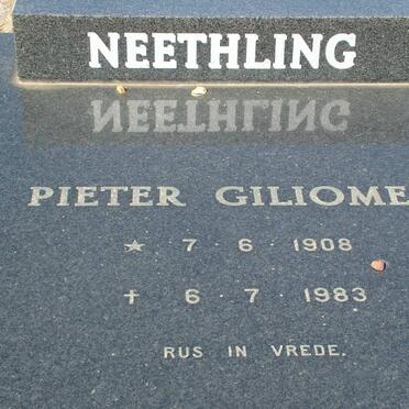 NEETHLING Pieter Giliomee 1908-1983