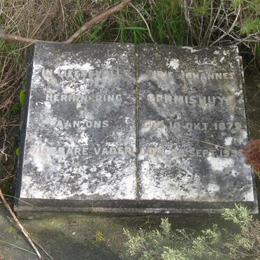 GERMISHUYS Jurie Johannes 1879-1955