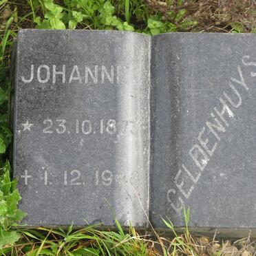 GELDENHUYS Johannes 1873-1948