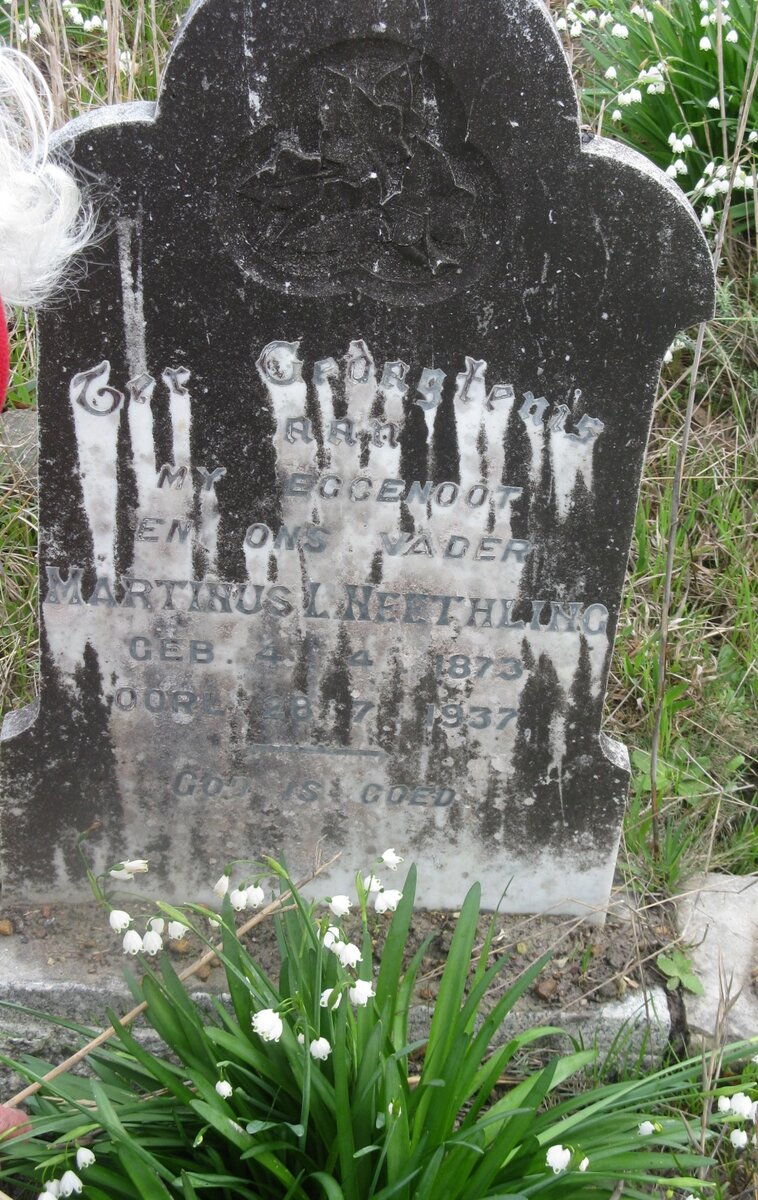 NEETHLING Martinus L. 1873-1937