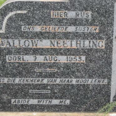 NEETHLING Swallow -1953