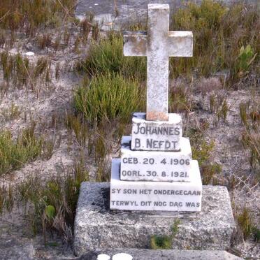 NEFDT Johannes B. 1906-1921