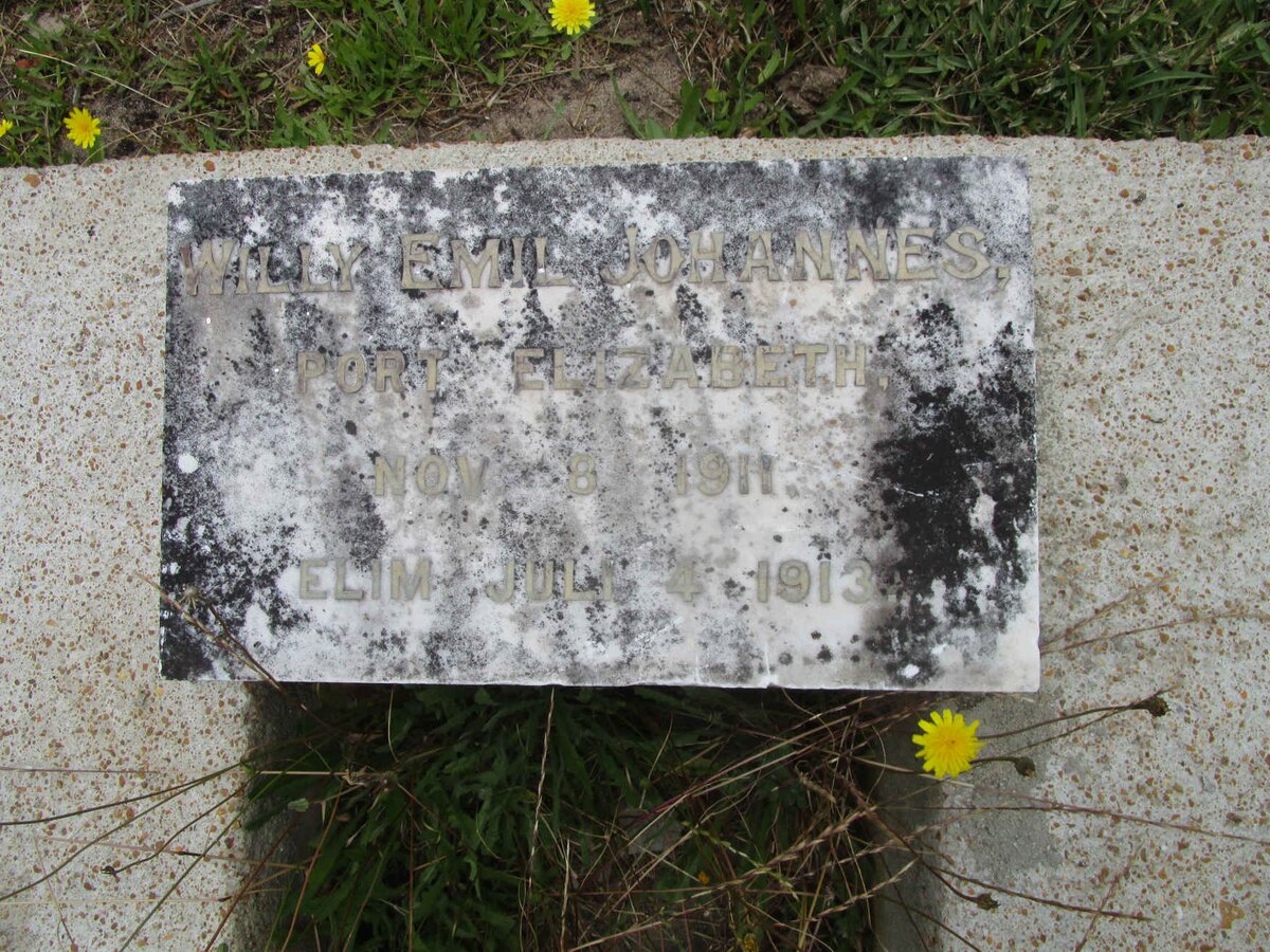 ? Willy Emil Johannes 1911-1913