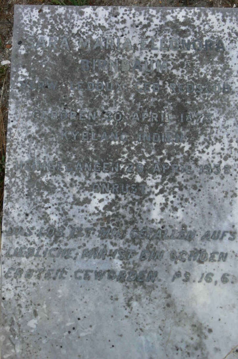 BIRNBAUM Sara Maria Eleonora voorheen LE DOUX nee REDSLOO 1873-1938