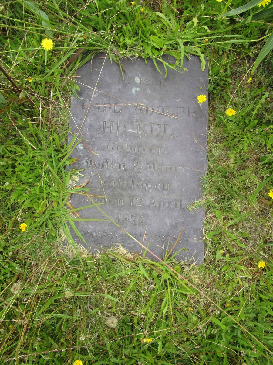 HICKEL Carl Adolph 1877-1877