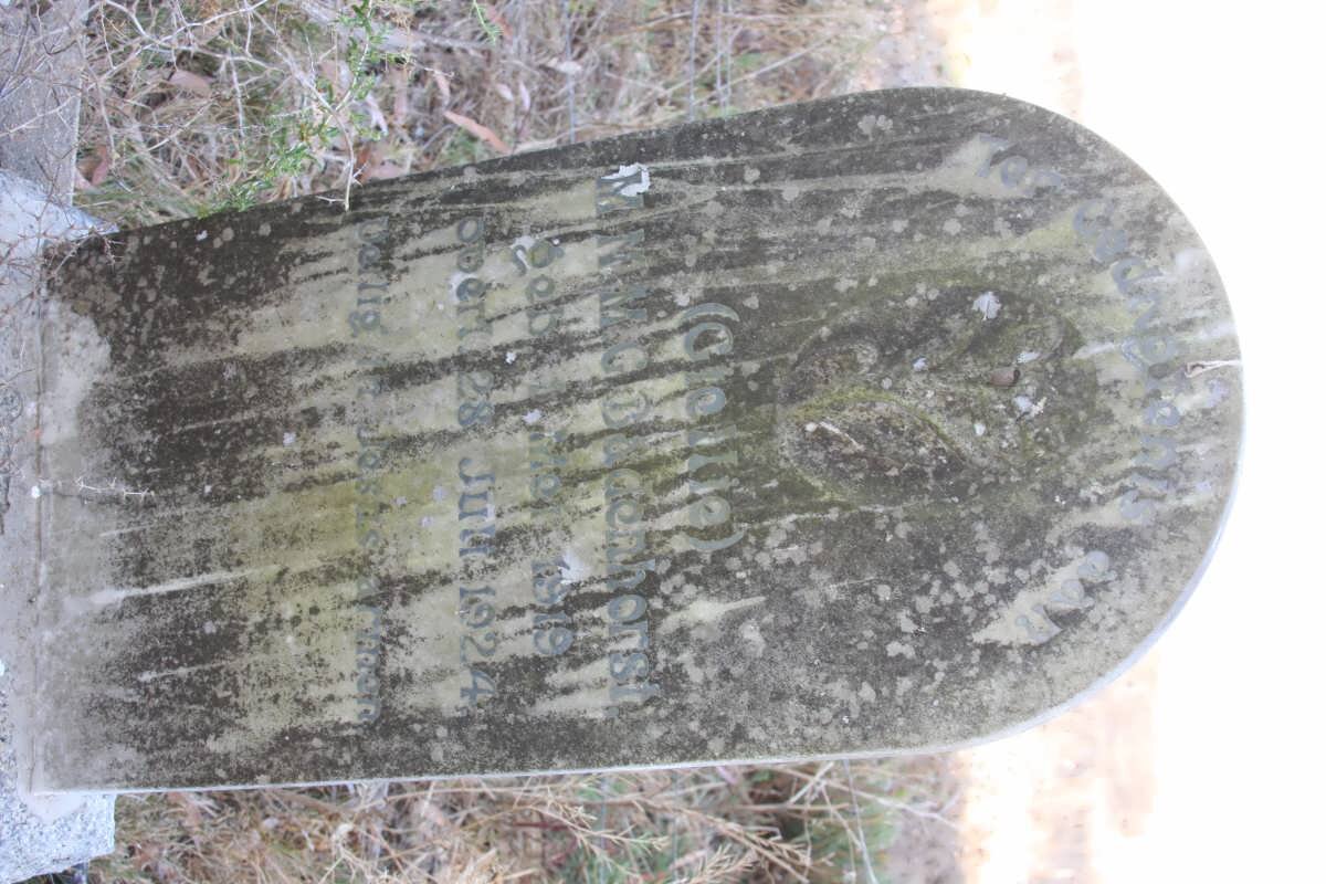 BADENHORST M.N.M.G 1919-1924