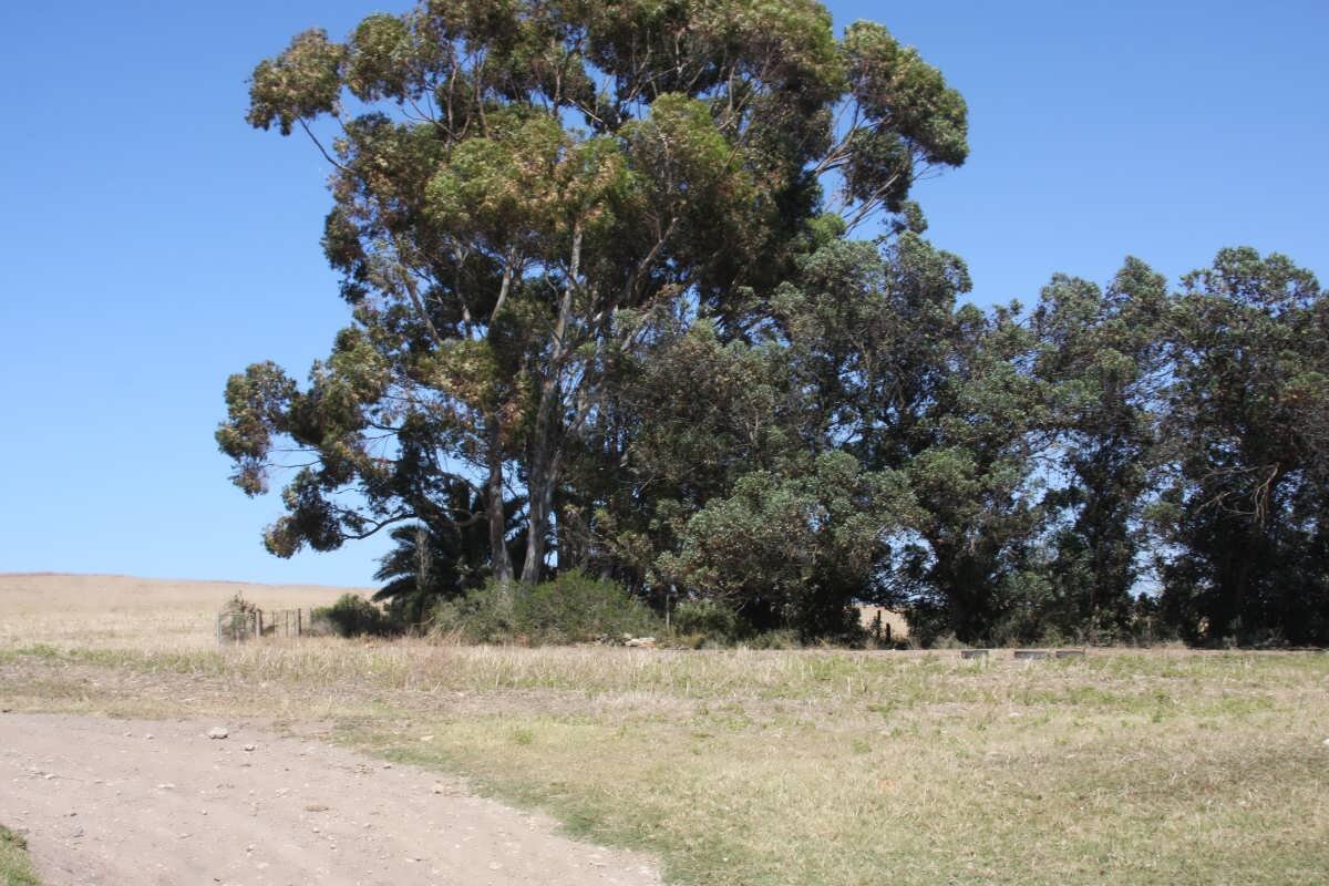 1. Road to Ouplaas Cemetery