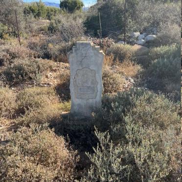 OLIVIER Andries Hermanus 1868-19??