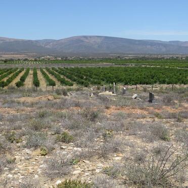 1. Overview / Oorsig